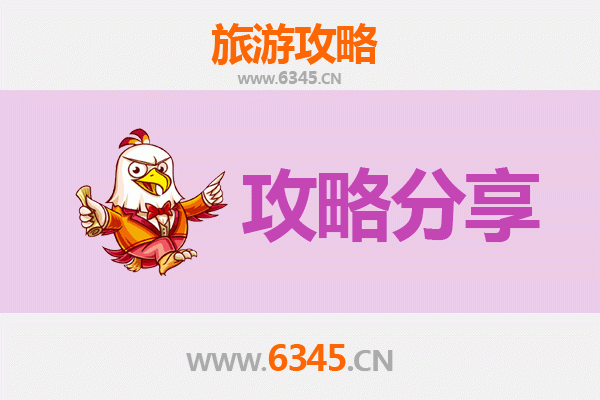七台河新兴至湄洲岛旅游攻略：跟团还是自由行选择指南