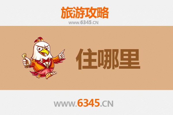 七台河新兴旅游民宿全攻略：冰雪文化与生态度假的完美融合